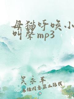 母猫呼唤小猫的叫声mp3