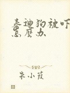 泰迪狗被吓着了怎么办