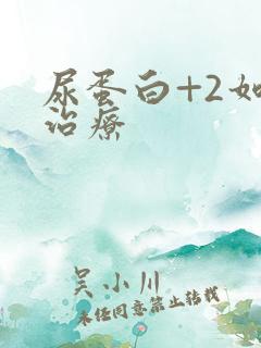 尿蛋白+2如何治疗