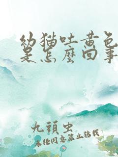 幼猫吐黄色液体是怎么回事