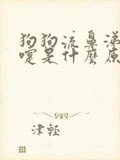 狗狗流鼻涕打喷嚏是什么原因