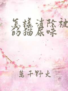 怎样消除被子上的猫尿味