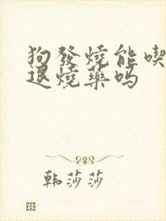 狗发烧能吃人的退烧药吗