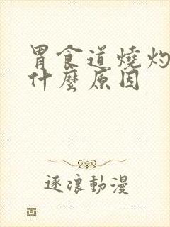 胃食道烧灼感是什么原因