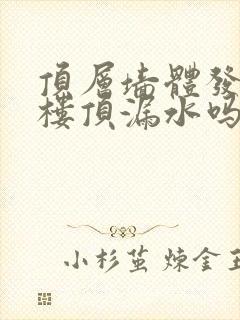 顶层墙体发霉是楼顶漏水吗