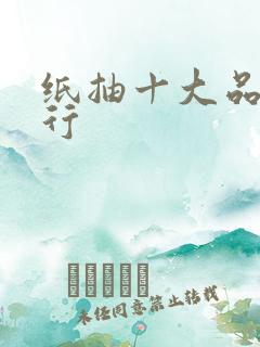 纸抽十大品牌排行