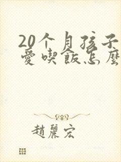 20个月孩子不爱吃饭怎么办