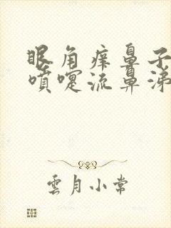 眼角痒鼻子痒打喷嚏流鼻涕吃什么药