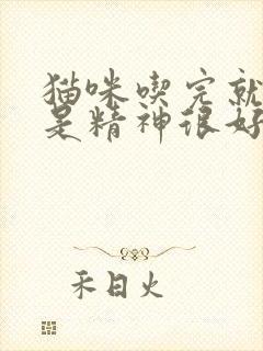 猫咪吃完就吐但是精神很好