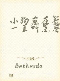 小狗崽在笼子里一直叫怎么办