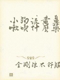 小狗流黄鼻涕咳嗽吃什么药