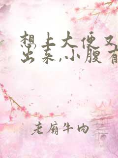 想上大便又上不出来,小腹有胀痛