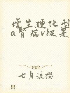 增生硬化型iga肾病v级是什么意思