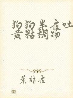 狗狗半夜吐了黄黄粘稠物