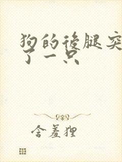 狗的后腿突然瘸了一只