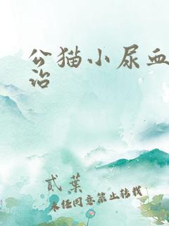 公猫小尿血怎么治