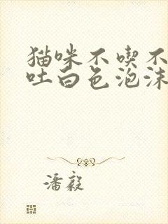 猫咪不吃不喝呕吐白色泡沫精神不好