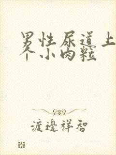 男性尿道上长了个小肉粒