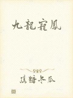 九龙宠凤