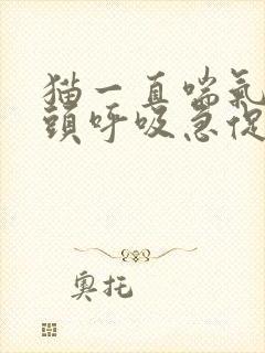 猫一直喘气吐舌头呼吸急促