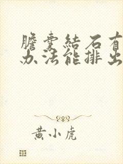 胆囊结石有什么办法能排出去