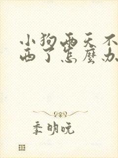 小狗两天不吃东西了怎么办