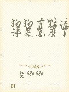 狗狗有点流清鼻涕是怎么了