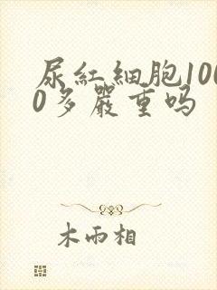 尿红细胞1000多严重吗