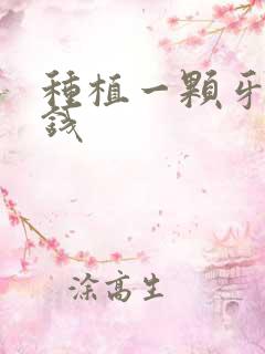 种植一颗牙得多钱