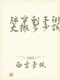 肺穿刺手术费用大概多少钱一次啊