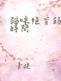 猫咪绝育的最佳时间