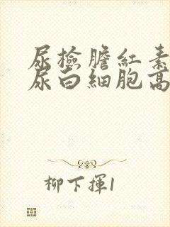 尿检胆红素高和尿白细胞高是怎么回事