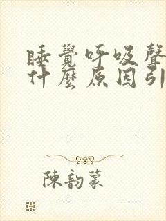 睡觉呼吸声重是什么原因引起的