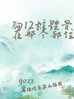 胸12椎体骨折在哪个部位