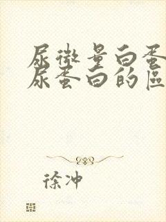 尿微量白蛋白与尿蛋白的区别