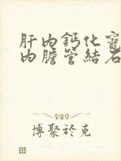 肝内钙化灶与肝内胆管结石的超声鉴别