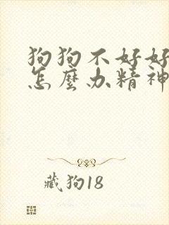 狗狗不好好吃饭怎么办精神挺好的