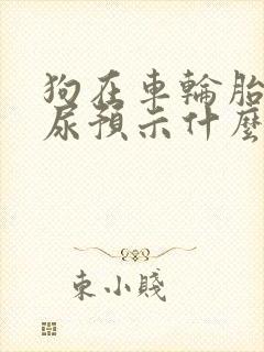 狗在车轮胎上撒尿预示什么