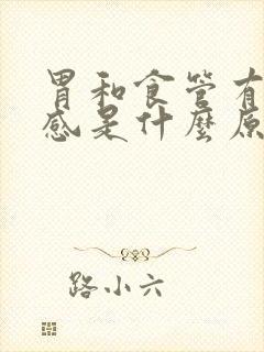 胃和食管有烧灼感是什么原因