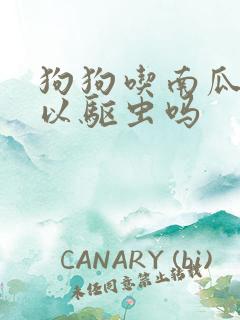 狗狗吃南瓜子可以驱虫吗