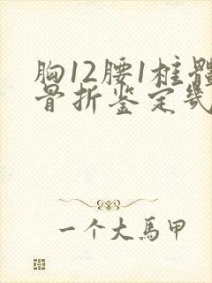 胸12腰1椎体骨折鉴定几级伤残