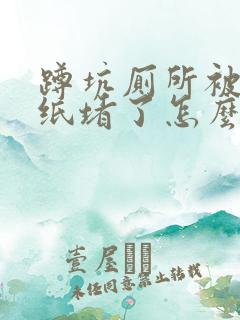 蹲坑厕所被卫生纸堵了怎么通