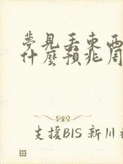 梦见丢东西了是什么预兆周公解梦