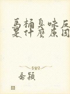 马桶臭味反上来是什么原因