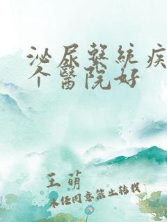 泌尿系统疾病哪个医院好