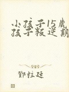 小孩子15岁男孩子叛逆期怎么教