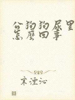 公狗狗尿里带血怎么回事