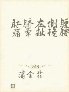 肚脐左侧腹部疼痛牵扯后腰