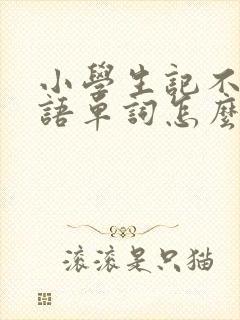 小学生记不住英语单词怎么办