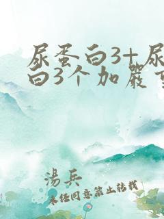 尿蛋白3+尿蛋白3个加严重吗